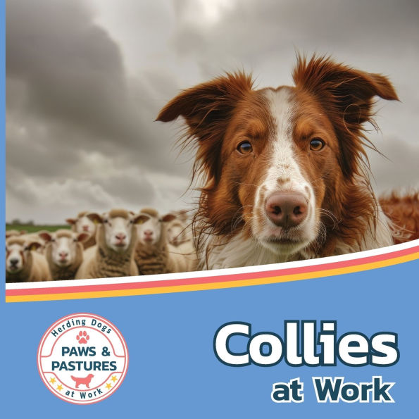 Collies at Work