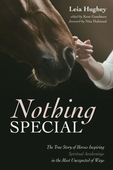 Nothing Special: the True Story of Horses Inspiring Spiritual Awakenings Most Unexpected Ways