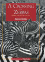 A Crossing of Zebras