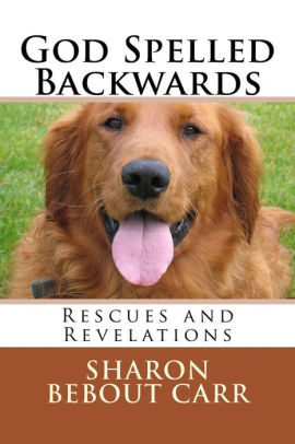 God Spelled Backwards Rescues And Revelations By Sharon Bebout Carr Paperback Barnes Noble