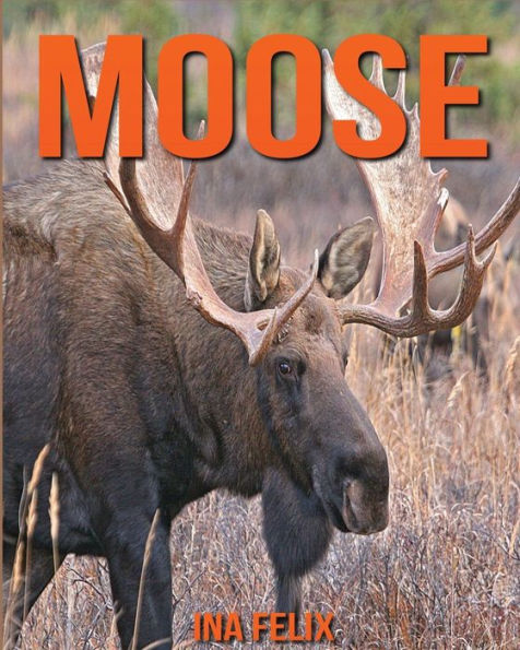 Moose: Children Book of Fun Facts & Amazing Photos on Animals in Nature - A Wonderful Moose Book for Kids aged 3-7