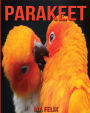 Parakeet: Children Book of Fun Facts & Amazing Photos on Animals in Nature - A Wonderful Parakeet Book for Kids aged 3-7