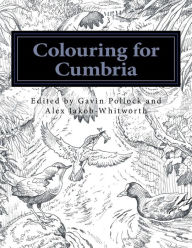 Title: Colouring for Cumbria: Raising money for people affected by the floods in Cumbria and Northern England., Author: Chris Riddell