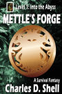 Mettle's Forge Level 1: Into the Abyss