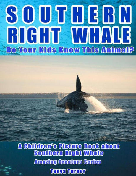 Southern Right Whale: Do Your Kids Know This Animal?: A Children's Picture Book about Southern Right Whale