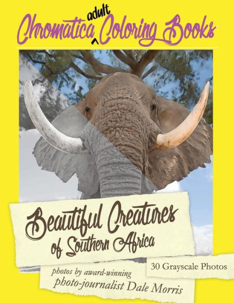 Beautiful Creatures of Southern Africa: An Adult Coloring Book featuring the most beautiful creatures that reside in Southern Africa