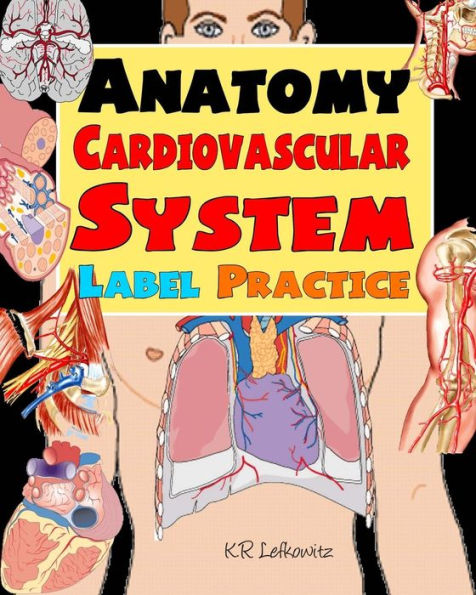 Anatomy Cardiovascular System Label Practice