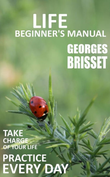 Life Beginner's Manual: Take charge of your life