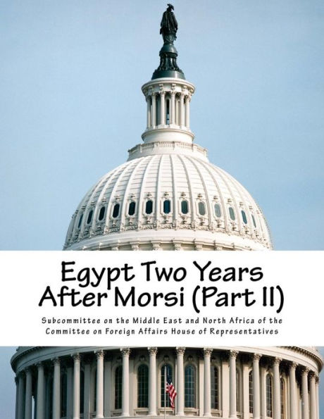 Egypt Two Years After Morsi (Part II)