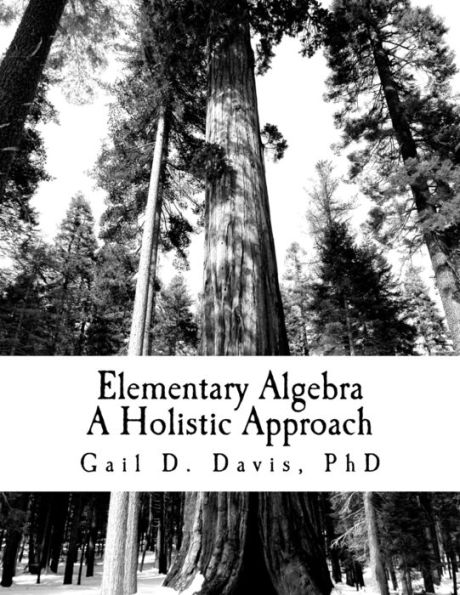 Elementary Algebra: A Holistic Approach