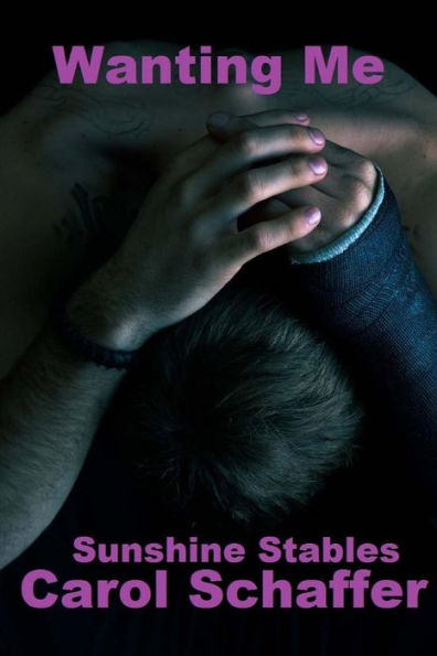 Wanting Me: Sunshine Stables