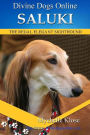 Saluki