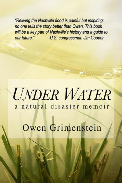 Under Water: A Natural Disaster Memoir