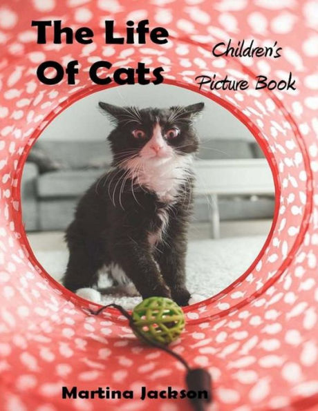 The Life Of Cats: Children's Picture Books (Ages 2-6)