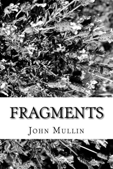 Fragments: A Poetic Collection