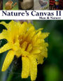 Nature's Canvas II: Man & Nature: A collection of photography of the natural and man made world to enjoy and relax with. A great coffee table book of interesting and unique photography to share with your loved ones or just curl up by the window and rela