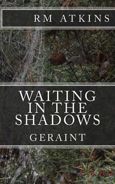 Waiting in the Shadows: Geraint