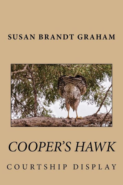 Cooper's Hawk Courtship Display