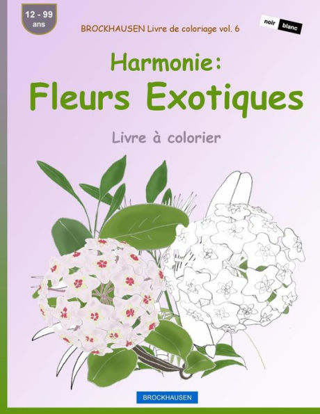 BROCKHAUSEN Livre de coloriage vol. 6 - Harmonie: Fleurs Exotiques: Livre à colorier