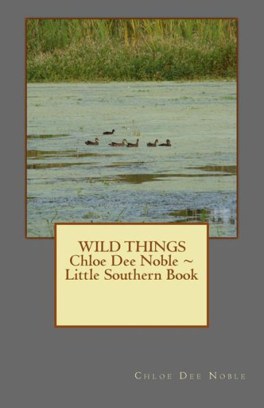 WILD THINGS Chloe Dee Noble Little Southern Book