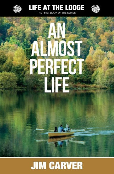 An Almost Perfect Life