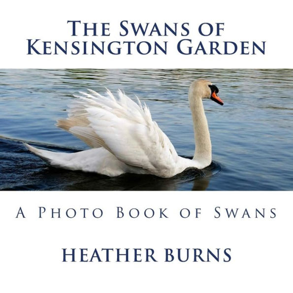 The Swans of Kensington Garden: A Photo Book of Swans