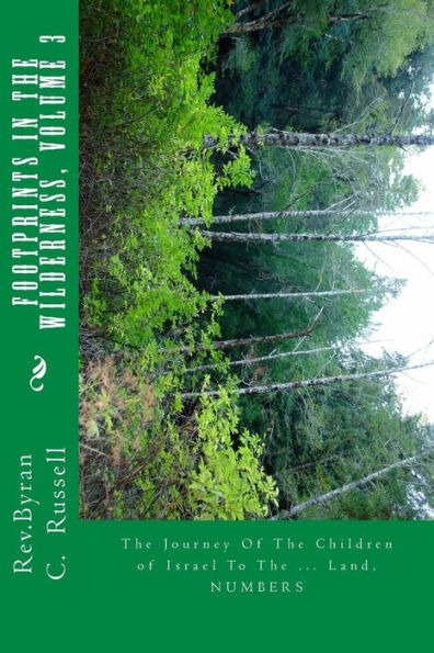Footprints in the Wilderness: The Journey of the Children of Israel to the Promised Land