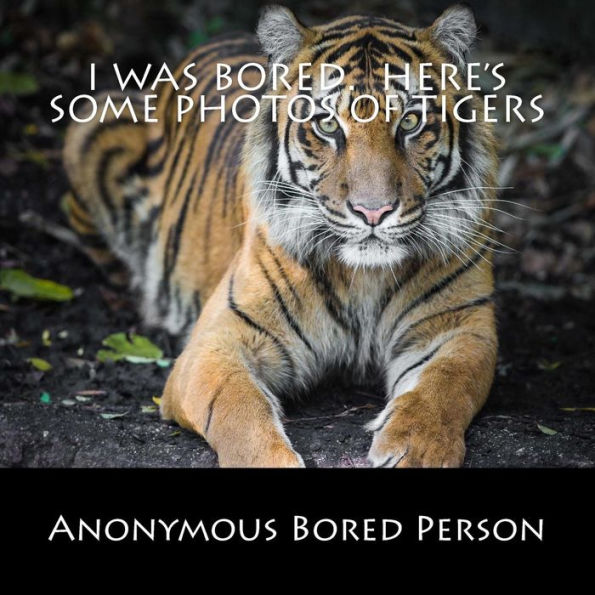 I was Bored. Here's Some Photos of Tigers