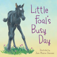 Title: Little Foal's Busy Day, Author: Sleeping Bear Press