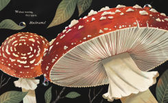 Alternative view 3 of Mushroom Rain
