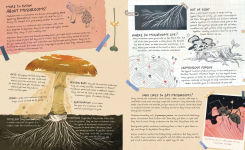 Alternative view 6 of Mushroom Rain
