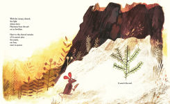 Alternative view 3 of Pine Cone Regrown: How One Species Thrives After Fire