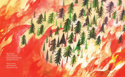 Alternative view 7 of Pine Cone Regrown: How One Species Thrives After Fire
