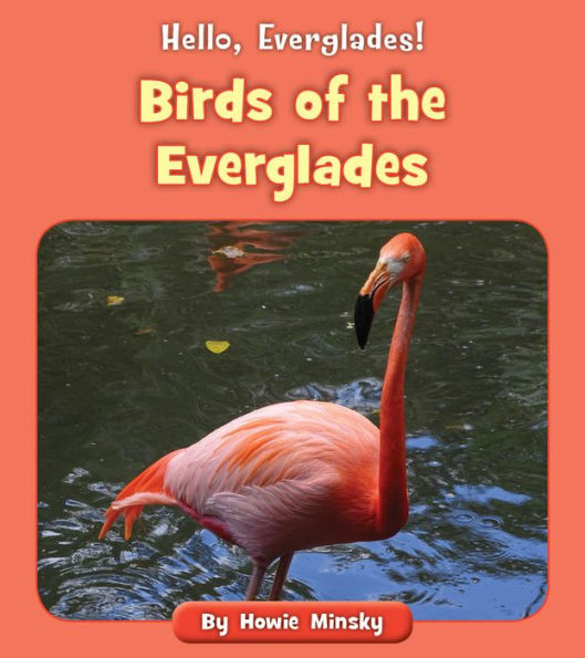 Birds of the Everglades