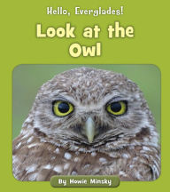 Title: Look at the Owl, Author: Howie Minsky