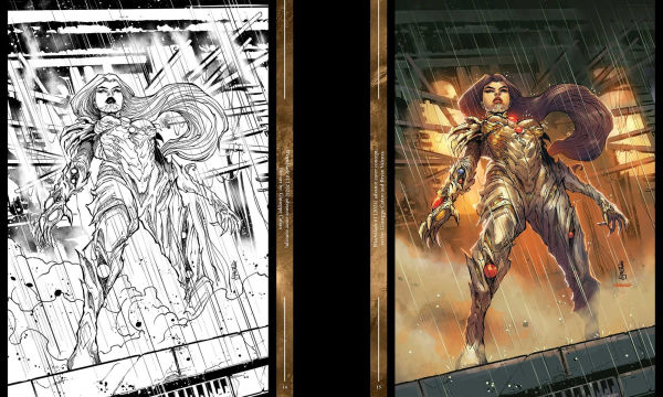 The Art of Top Cow: Legacy