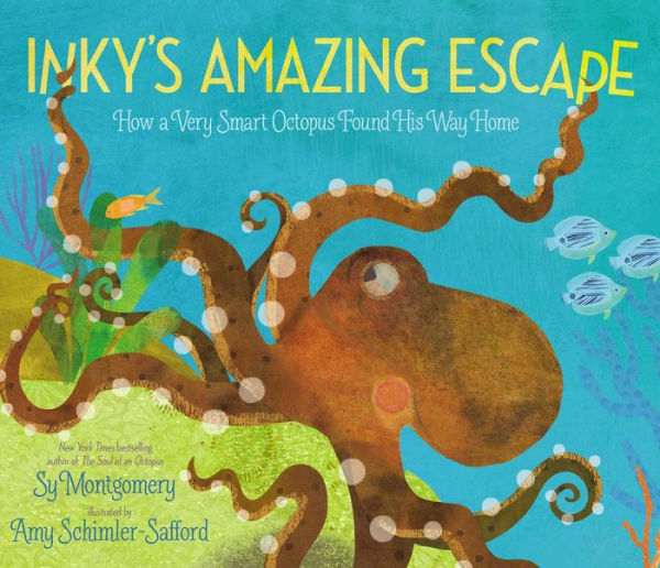 Inky's Amazing Escape: How a Very Smart Octopus Found His Way Home