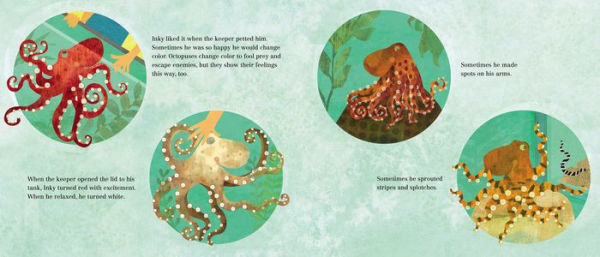 Inky's Amazing Escape: How a Very Smart Octopus Found His Way Home