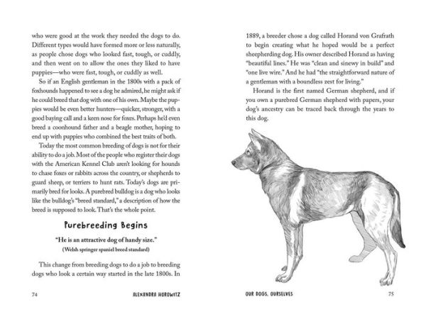 Our Dogs, Ourselves -- Young Readers Edition: How We Live with Dogs