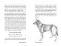 Alternative view 4 of Our Dogs, Ourselves -- Young Readers Edition: How We Live with Dogs