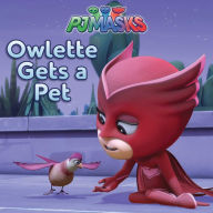 Title: Owlette Gets a Pet, Author: Maggie Testa