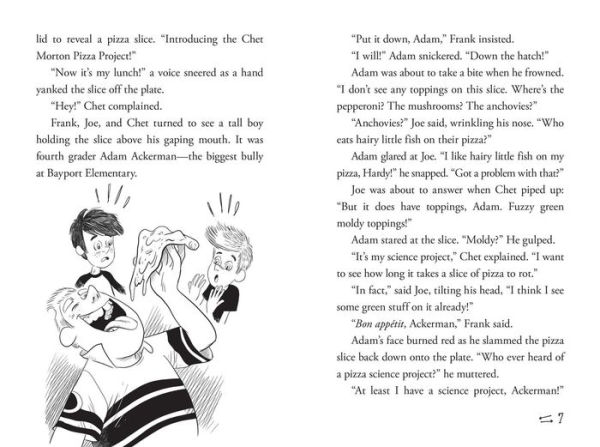 The Time Warp Wonder (Hardy Boys Clue Book Series #8)