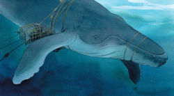 Alternative view 2 of The Fisherman & the Whale