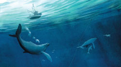Alternative view 3 of The Fisherman & the Whale