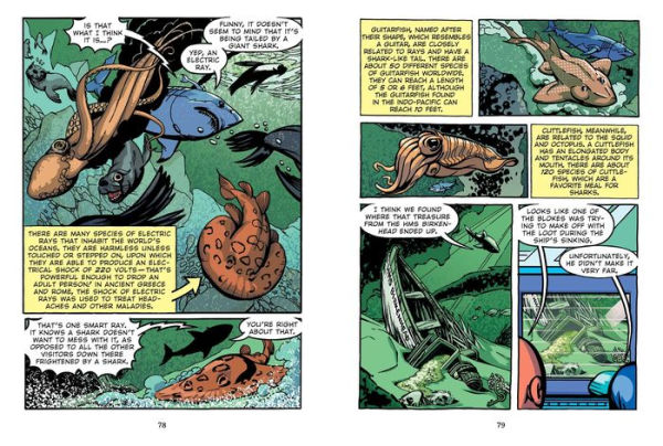 Great White Shark Adventure