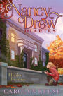 Hidden Pictures (Nancy Drew Diaries Series #19)