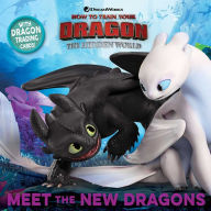 Title: Meet the New Dragons, Author: Maggie Testa