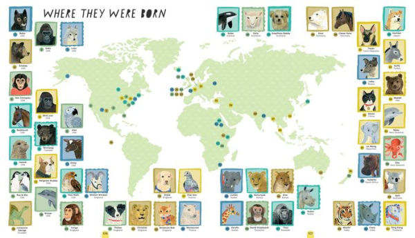 WildLives: 50 Extraordinary Animals that Made History