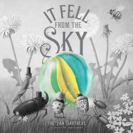 Title: It Fell from the Sky, Author: Terry Fan