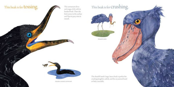 The Beak Book